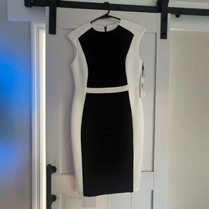 Calvin Klein Black and White Sleeveless Dress